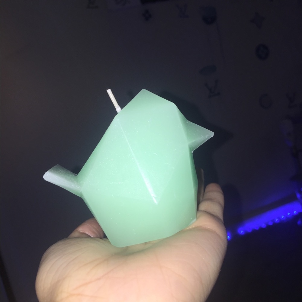 Pyropet candle Urban outfitters